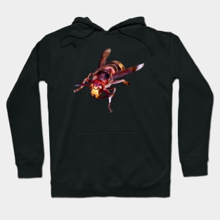 Hornet Hoodie